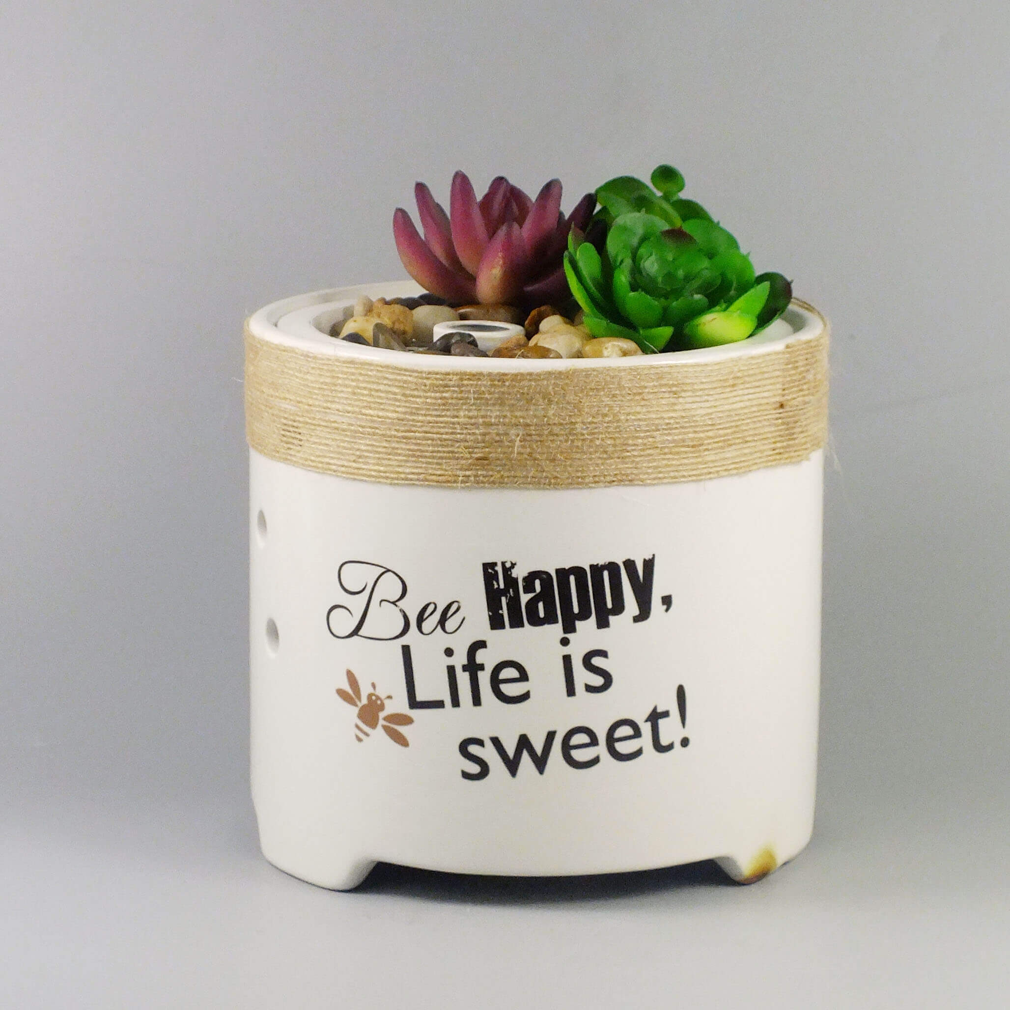 Succulent Plant Ceramic Aroma Diffuser