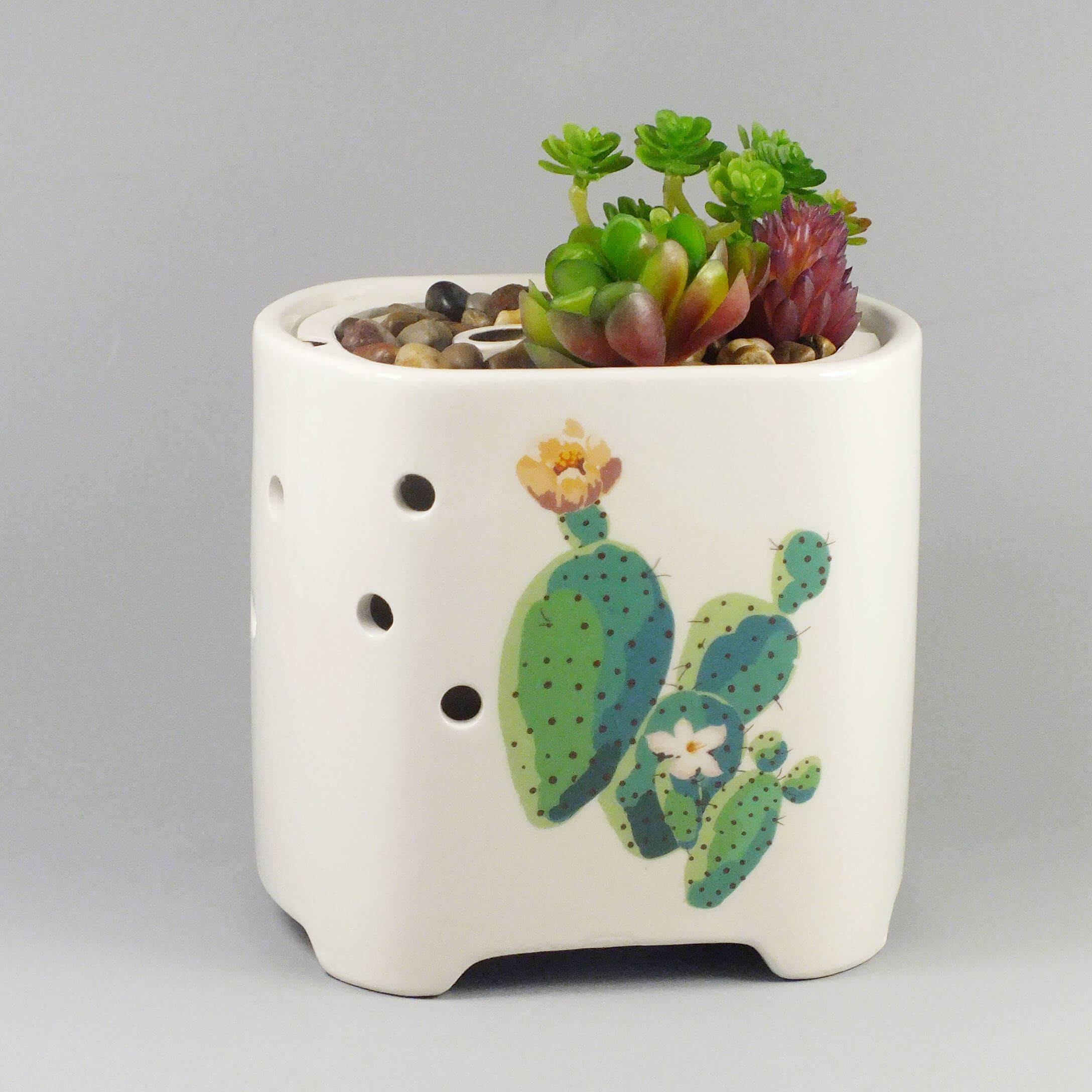 Ceramic-succulent-plant-pots-diffuser-GLEA20149S