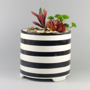 Pots succulent plant aroma diffuser GLEA20106S Pots-succulent-plant-aroma-diffuser-GLEA20106S-1