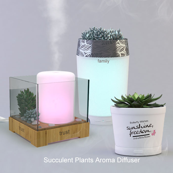 Succulent-Plants-Aroma-Diffuser